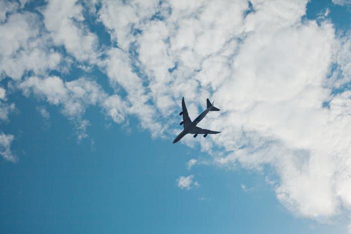 Обложка © Shutterstock / FOTODOM / Liliya Fadeeva