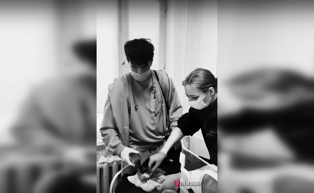    Фото: скрин из видео