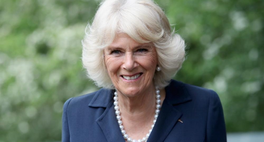 Почему королеву Камиллу уволили с работы мечты