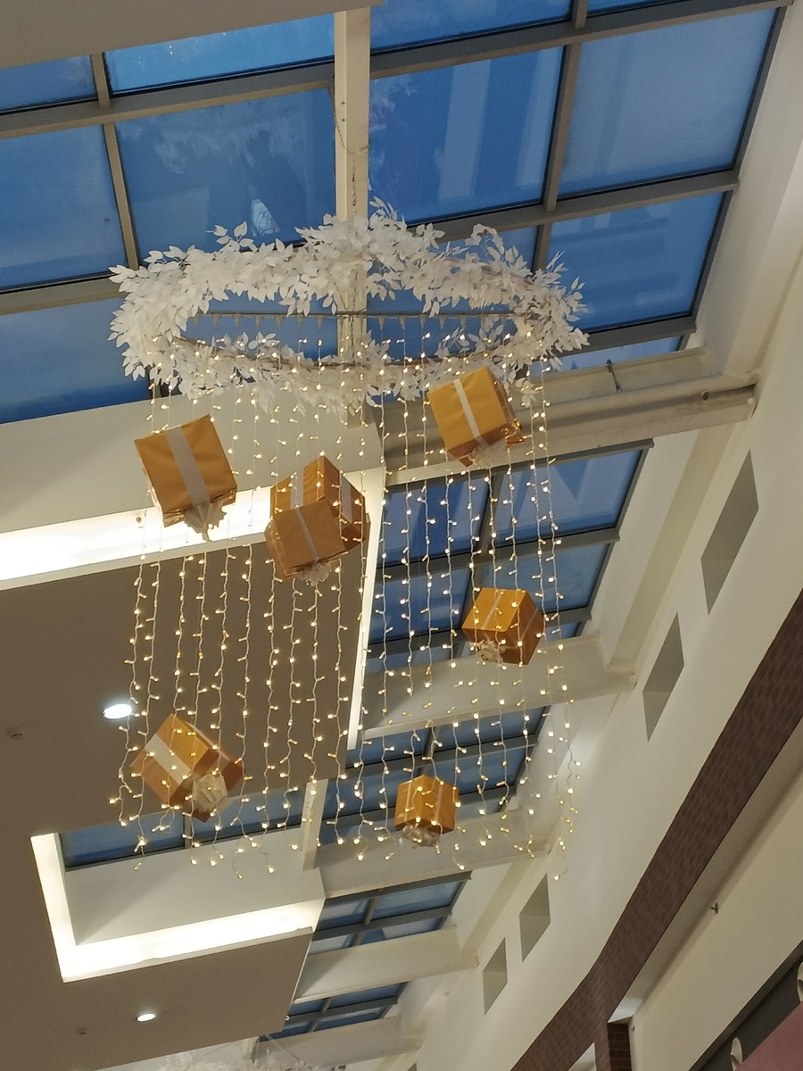 Огромные окна в потолке. Фото Галины Малышевой.