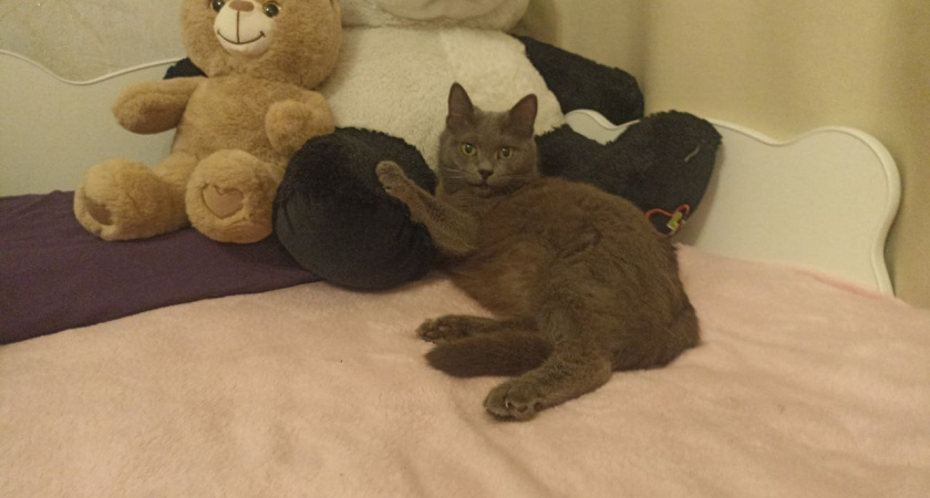    Фото из архива редакции