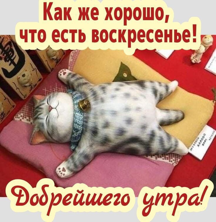 Из открытого источника. 