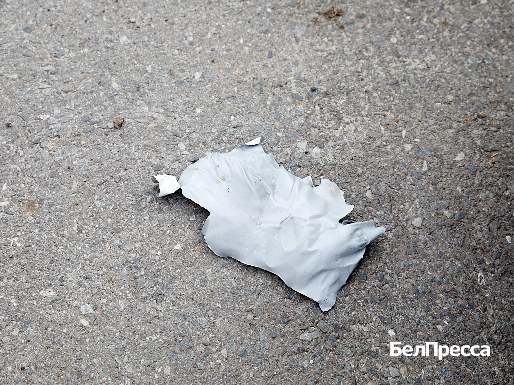     Фото: Елена Журавлёва (архив)