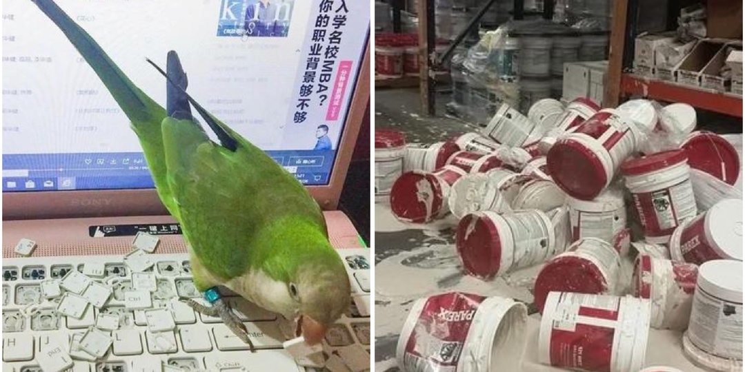 10+ фото, героям которых можно только посочувствовать