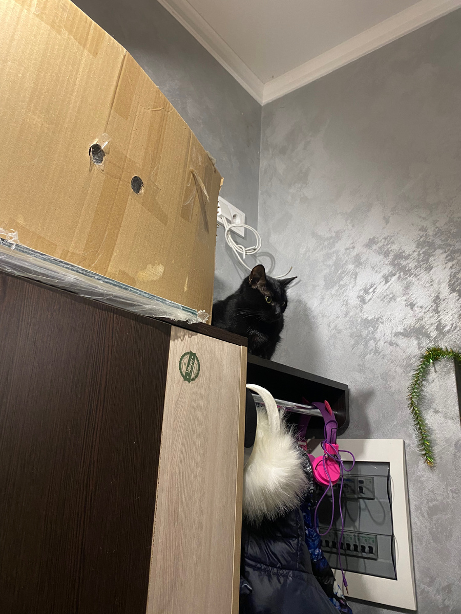 очень мило смотрится с пушистыми наушниками)