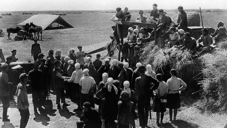 Колхозы и совхозы СССР: как работала система и неудобные факты о ней