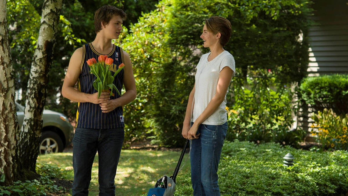    Кадр из фильма «Виноваты звёзды»: Кинопоиск