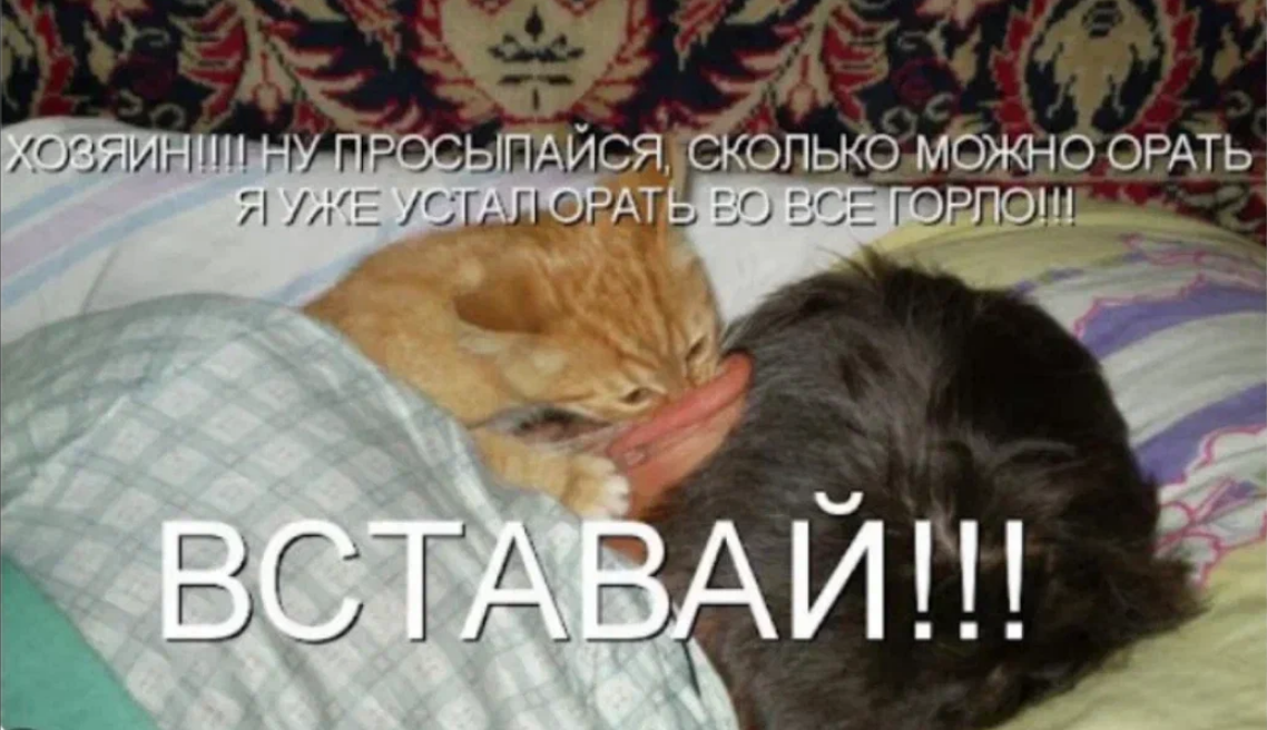 Из открытых источников.