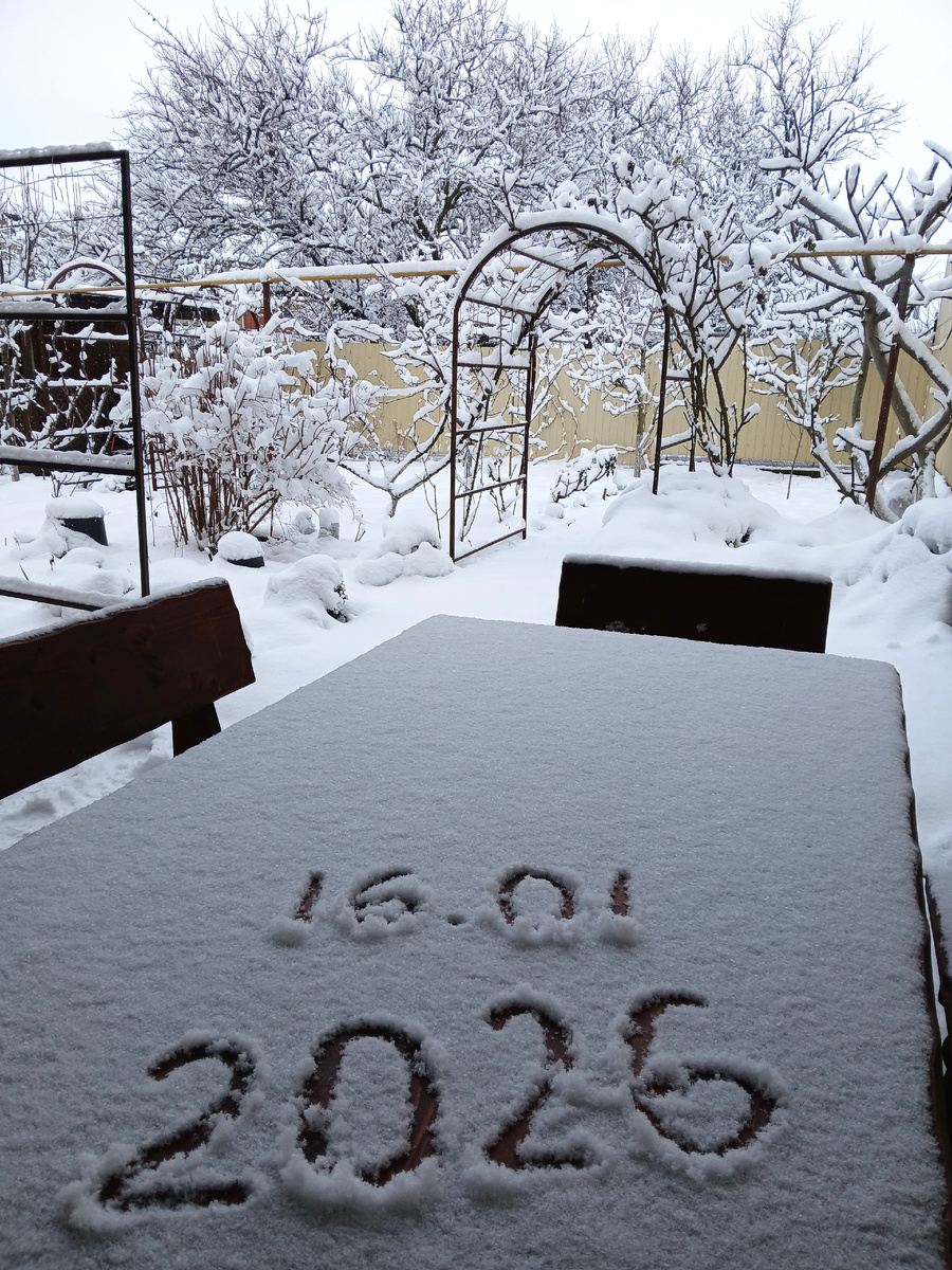 Дворик моего дома