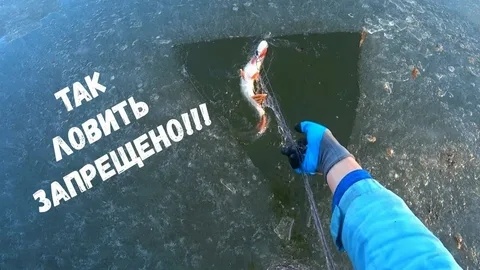 Полный гид по запрещенным снастям для рыбалки в России в 2026 году: как не стать браконьером