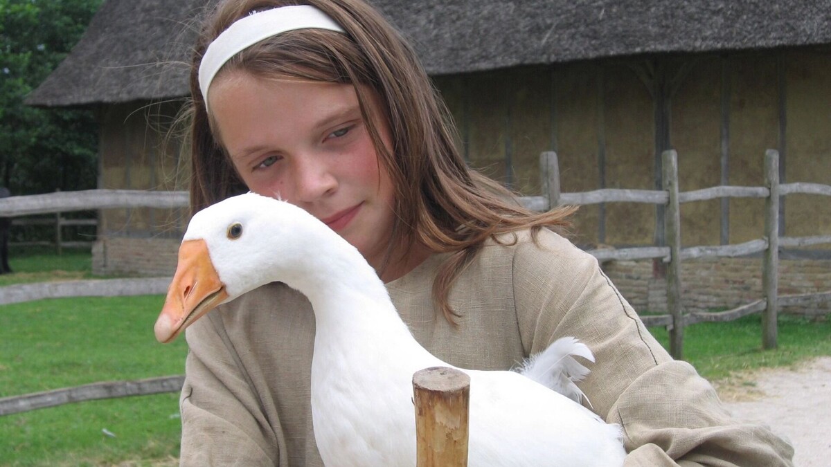    В Ростовской области продают земельный банк за полтора миллиарда рублей   Hans Splinter/cc by 2.0/flickr.com