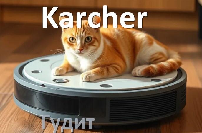 
Почему робот-пылесос Karcher сильно гудит и шумит