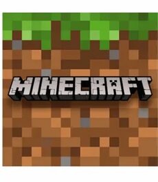 Интересные факты об игре Minecraft касаются истории создания, особенностей геймплея, рекордов и сообщества игроков.