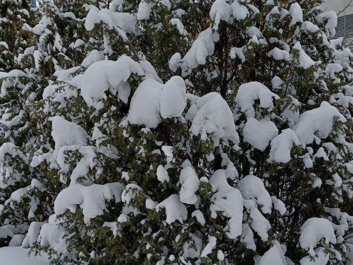 С Крещенским сочельником, друзья