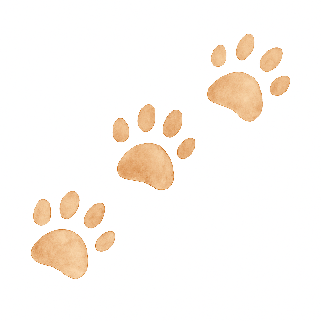 Конц сказки