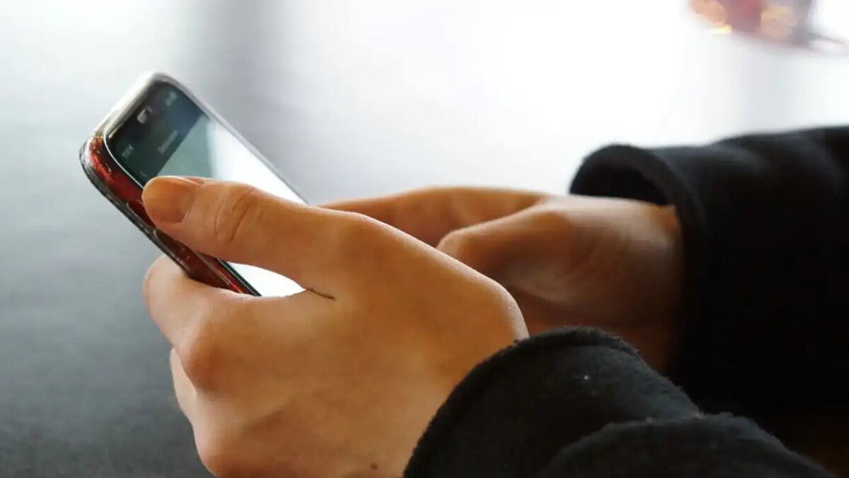     © Портал «МВД Медиа»