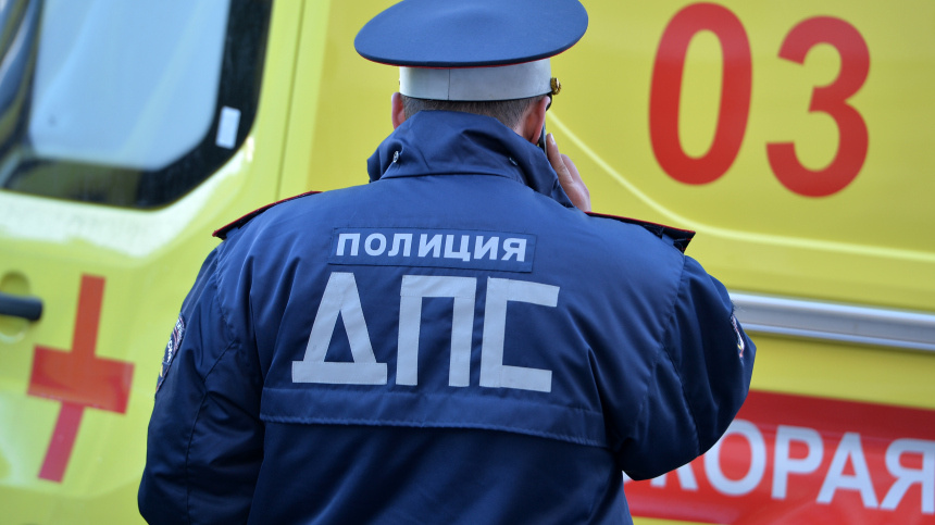    Фото: © РИА Новости/Максим Богодвид