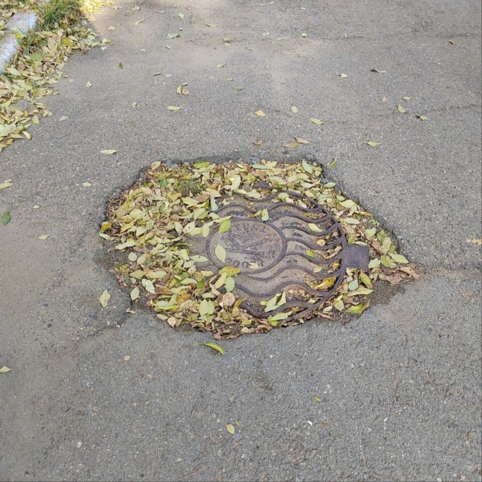    Фото: Lenta75.ru