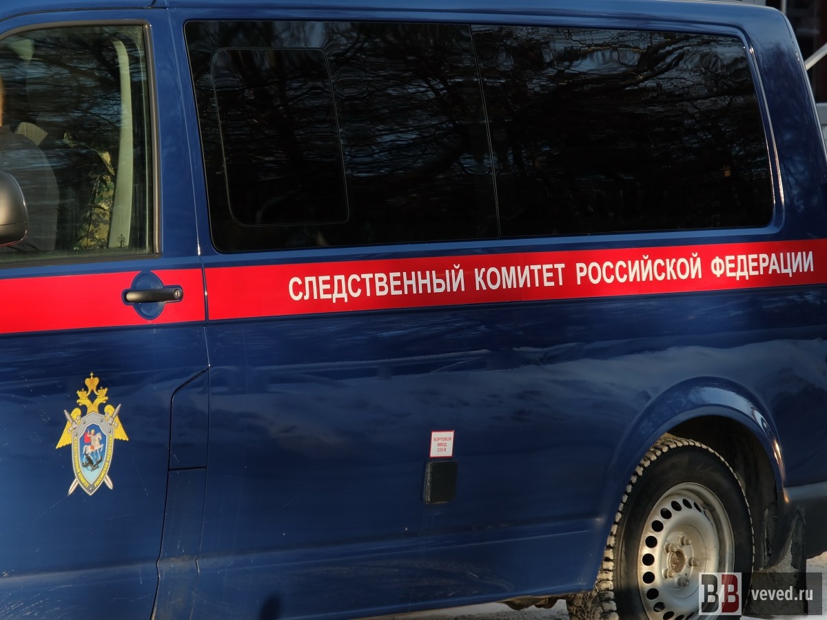     Фото: Владислав Постников / Вечерние ведомости