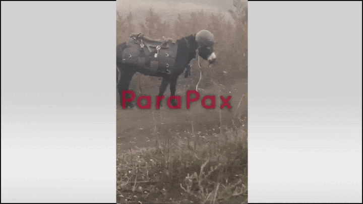    Война сейчас такова, что наш солдат не отказывается ни от каких транспортных средств. Даже от таких. Скриншот: ТГ-канал "Военный Осведомитель".