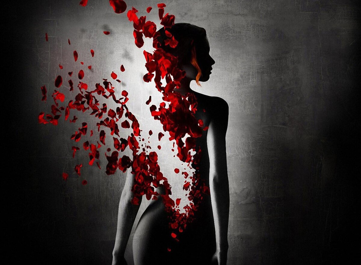 Картинка из интернета 