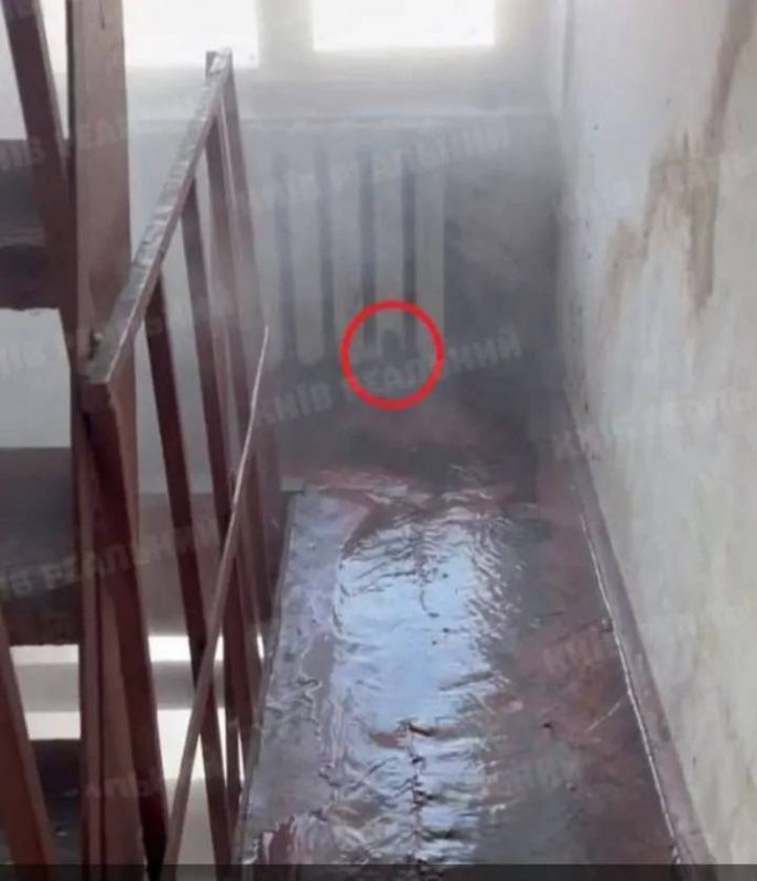   Фото: соцсети