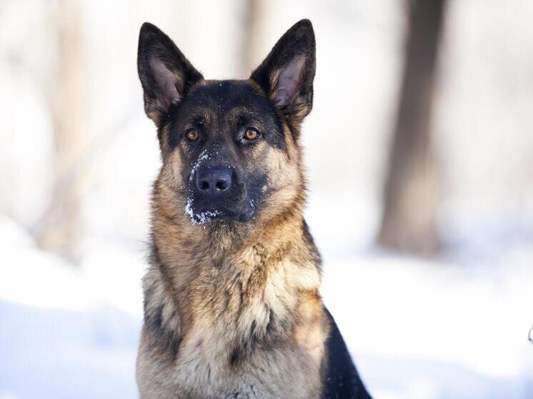     © Eva Frischling/imageBROKER.com/Global Look Press