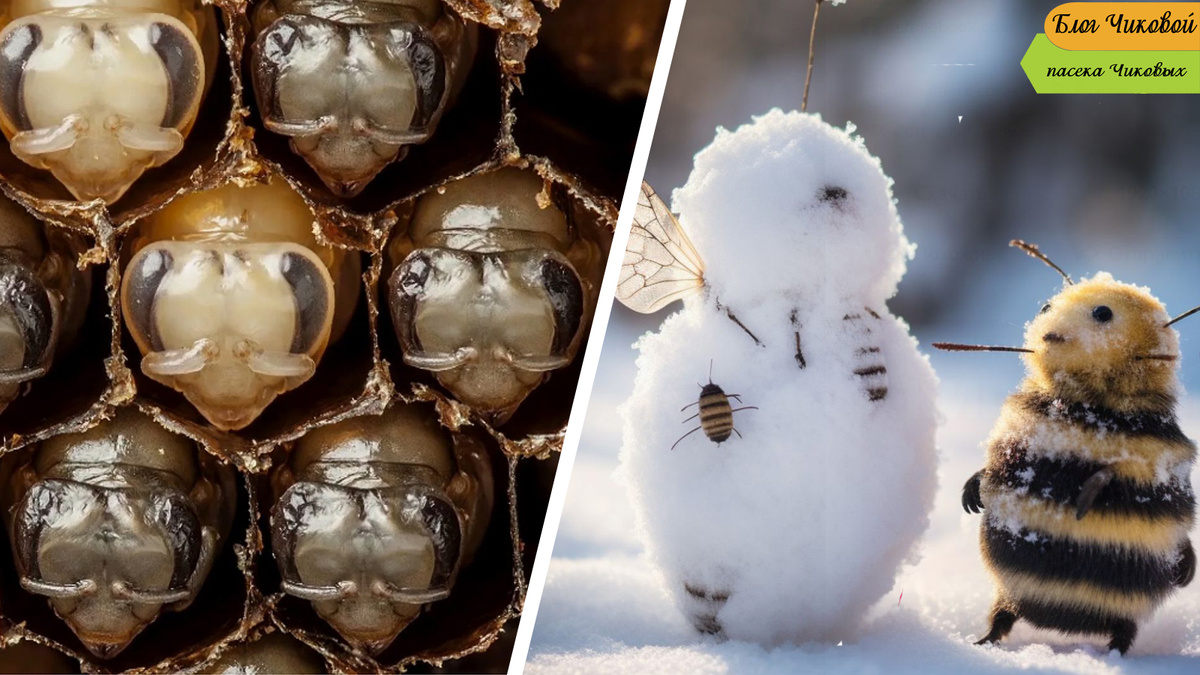 фотоколлаж просто для настроения...