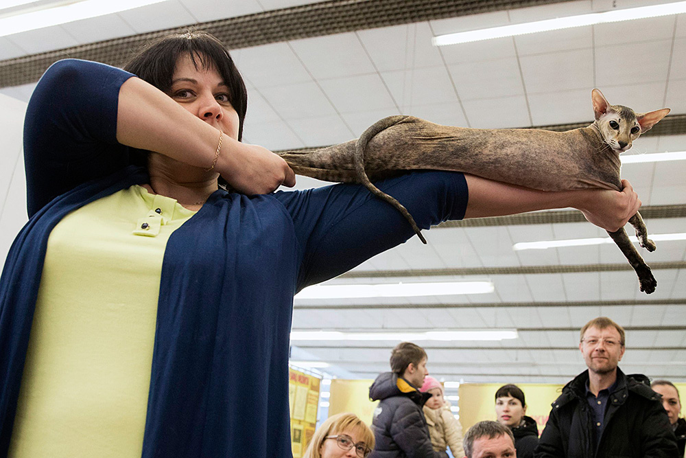 Выстрел милотой в самое сердечко! 