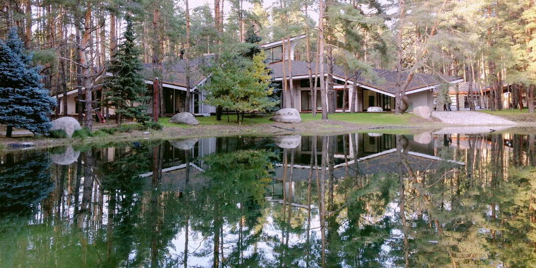 Дом в сосновом лесу и ещё три ярких дома в обзоре по понедельникам