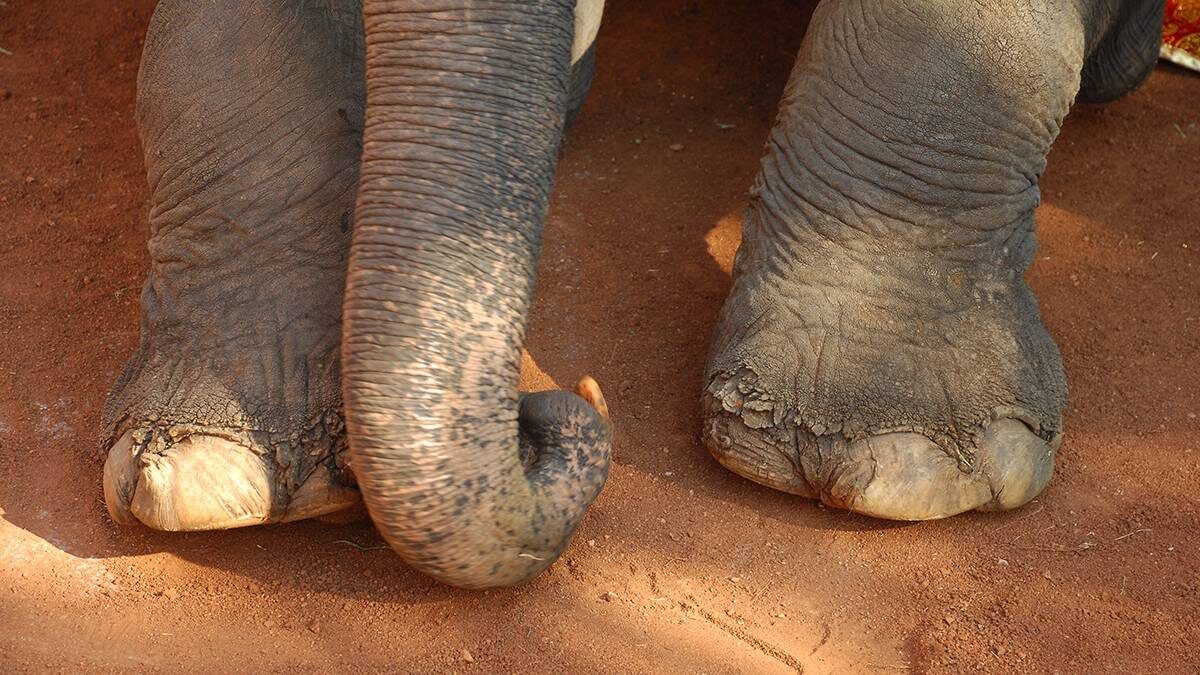    Фото: Shutterstock