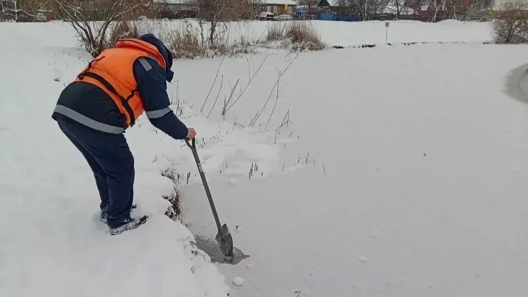 Фото: Пресс-служба администрации Краснодара