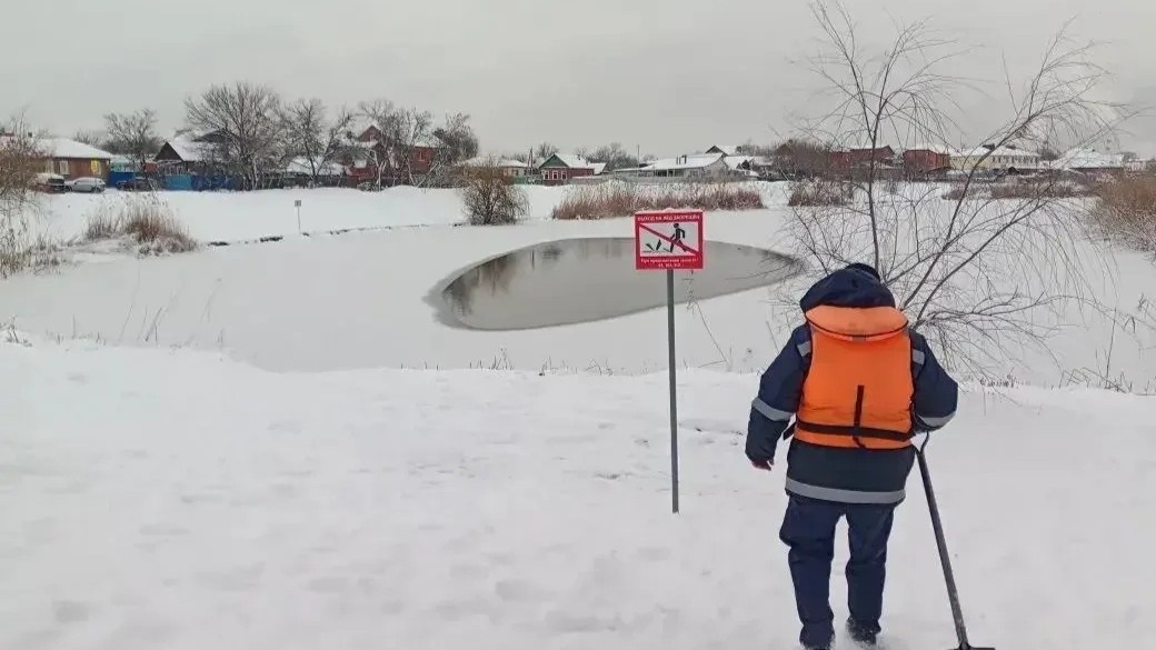 Фото: Пресс-служба администрации Краснодара