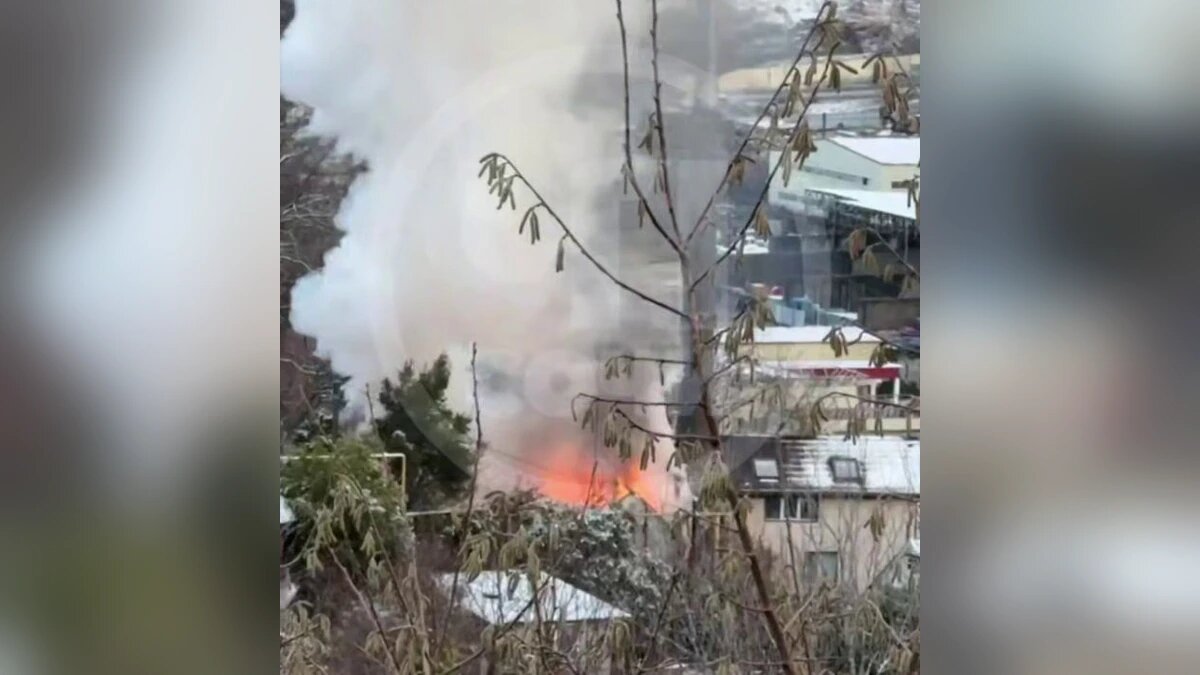    Фото t.me/chp_sochi