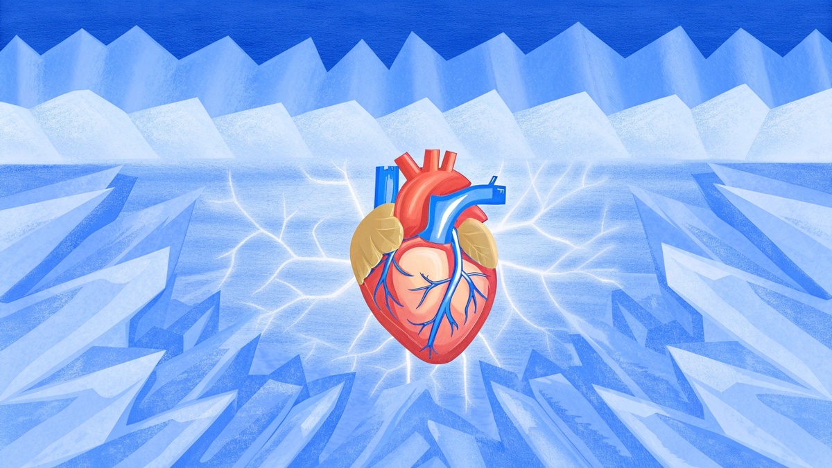     Фото: Recraft.AI Все периферические «краны»-сосуды тела резко захлопываются, и весь объем крови под большим давлением устремляется к «центру» — сердцу и мозгу. «Насос» работает на пределе, в то время как внешние ткани начинают испытывать дефицит кровоснабжения