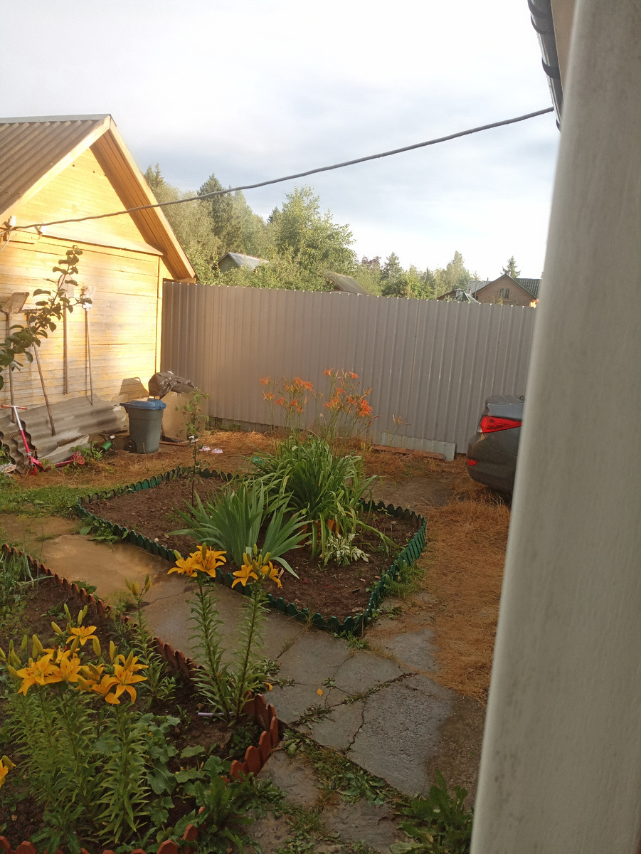 Фото автора. Захотелось кусочек лета