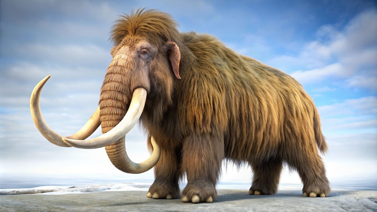 Фотография из интернета