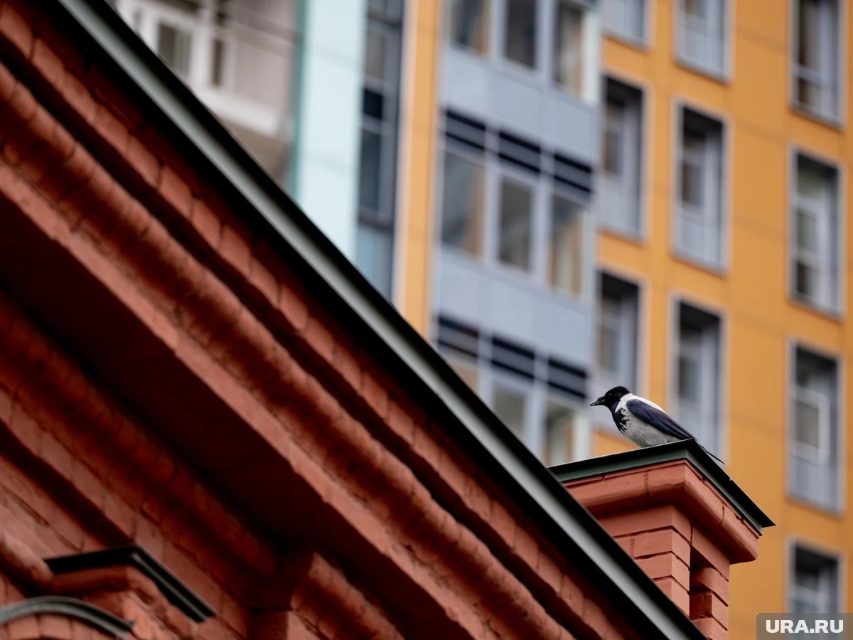     Пенсионер из Москвы вернул себе квартиру в Тушино после признания в мошенничестве