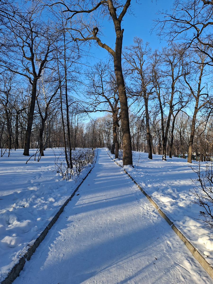 В Загородном, фото автора