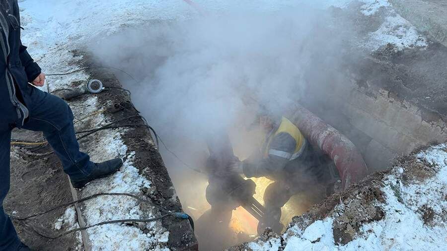    Фото: t.me/sobakin_mn