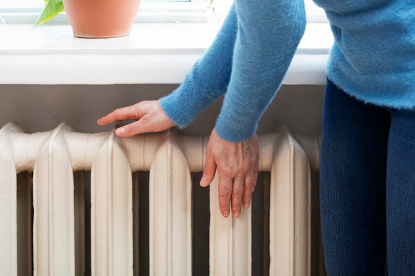 Mikhailov Studio/Shutterstock/FOTODOM  