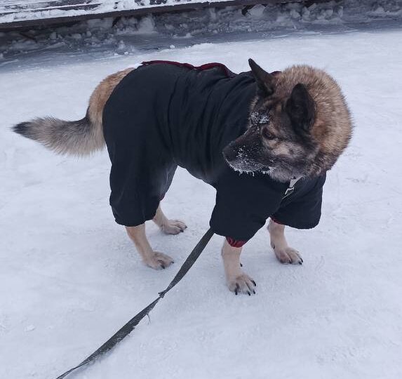 Джуле очень нужен дом