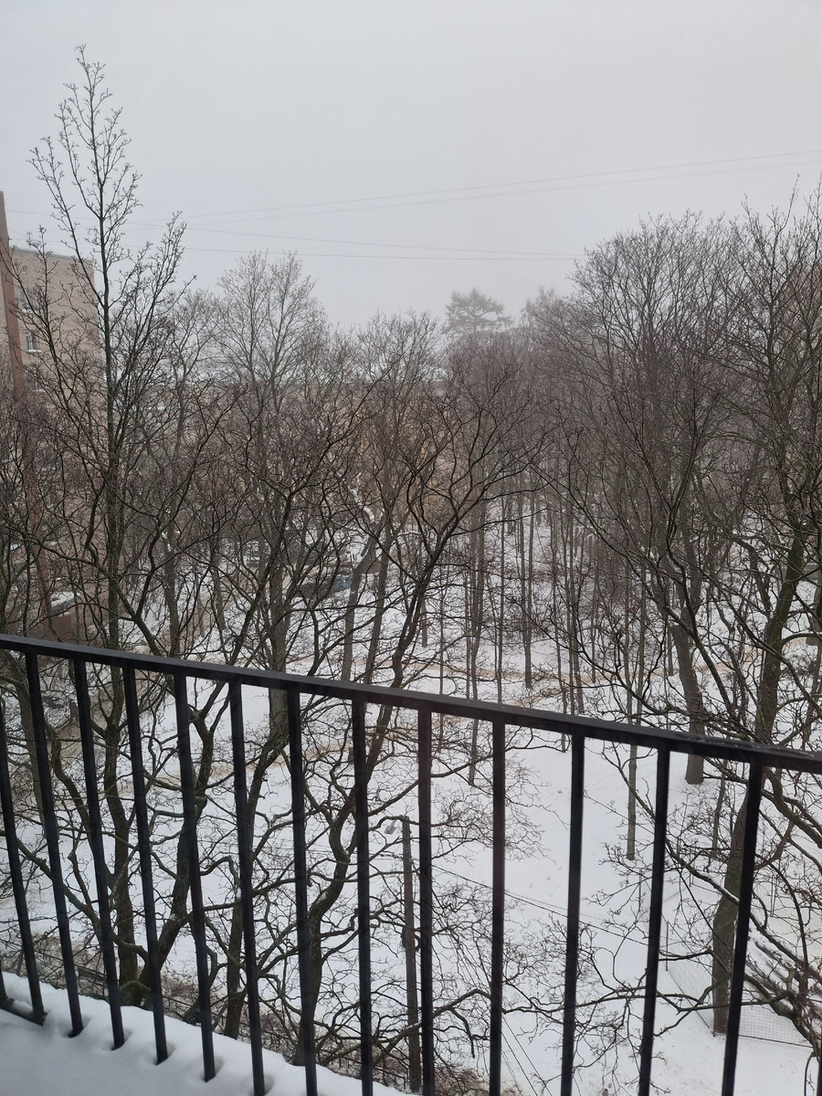 Фото автора. 