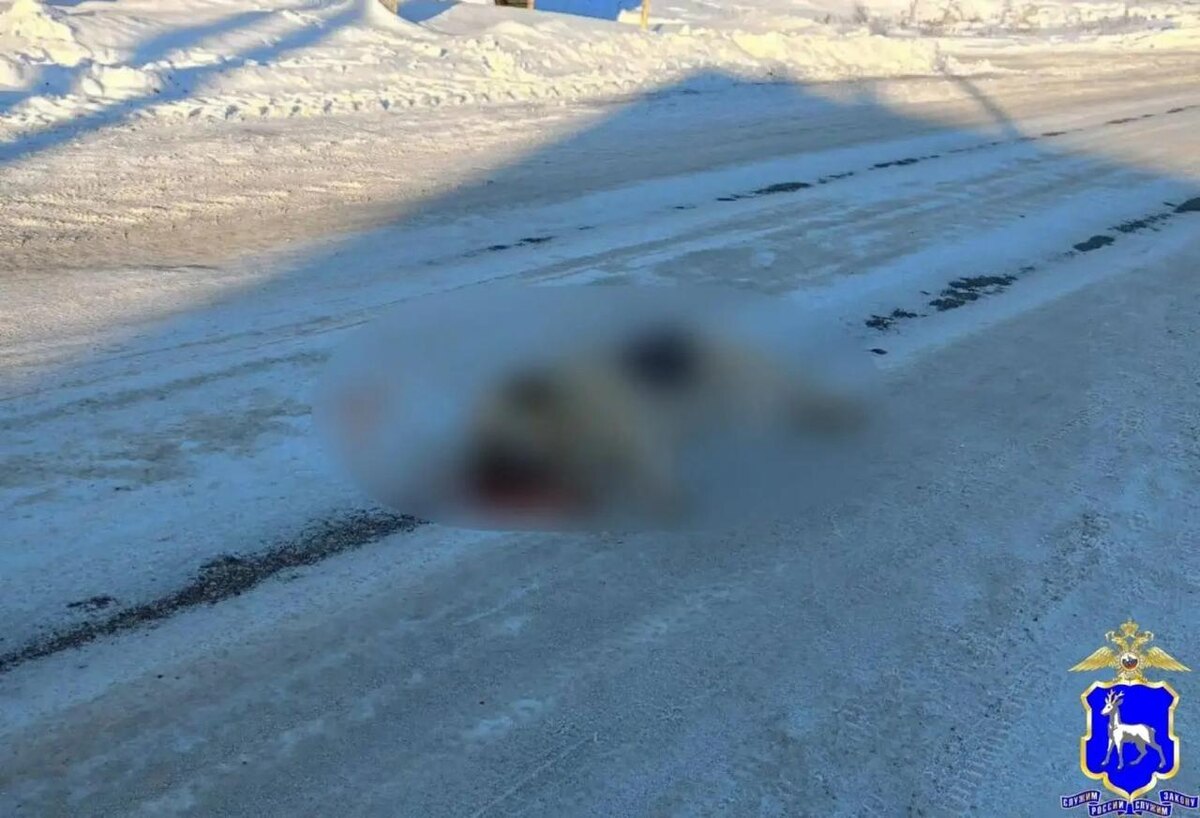    Фото ГУ МВД РФ по Самарской области