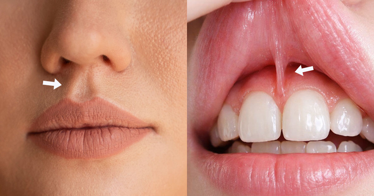 Freepik & Alexander Svoboda / Factroom.ru