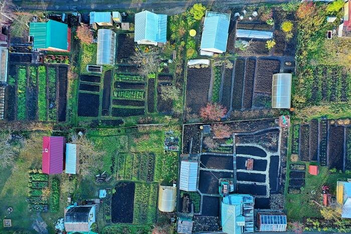 Обложка © Shutterstock / FOTODOM / Kichigin