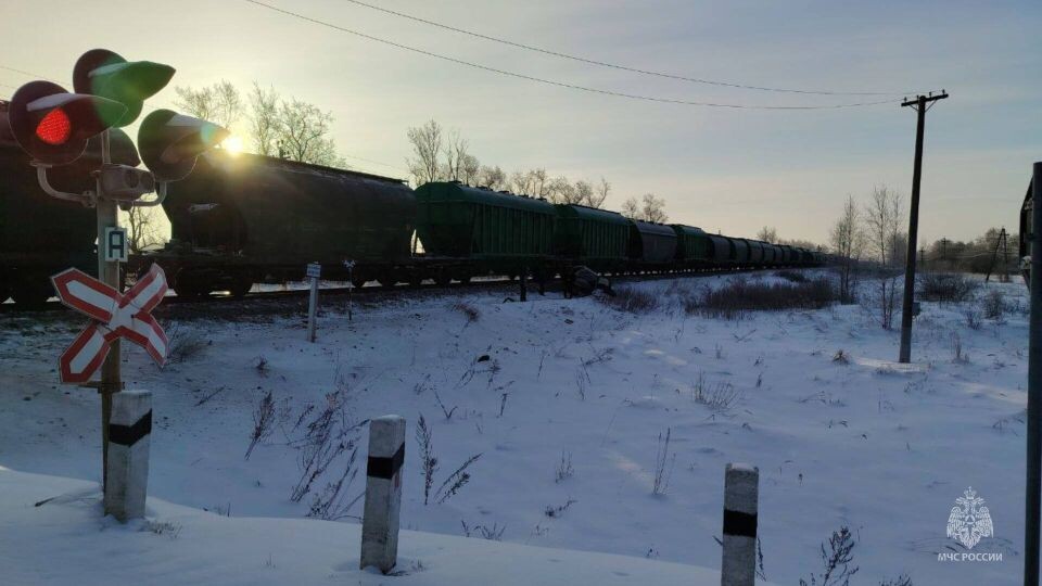    Столкновение поезда и авто в Псковской области. Источник: ГУ МЧС России по Псковской области