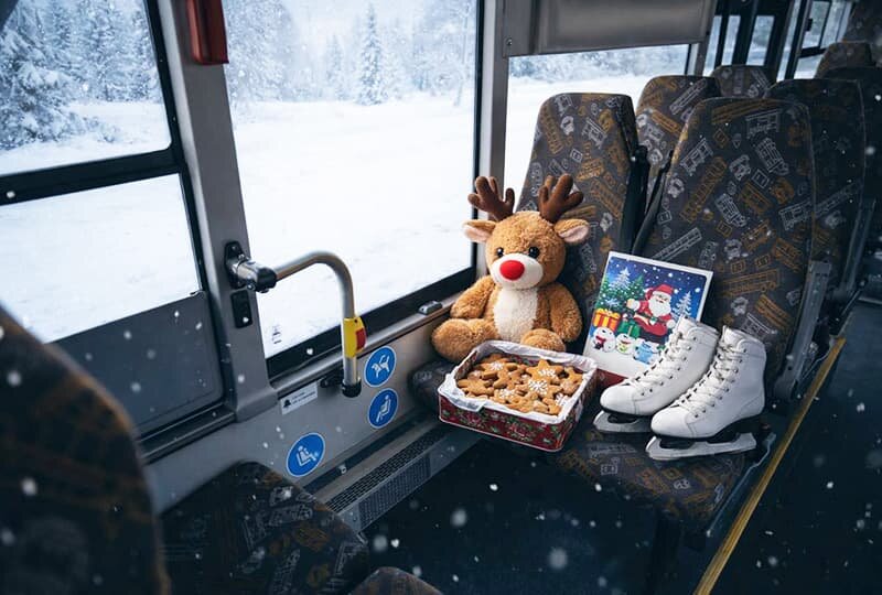    Новогодние «потеряшки»