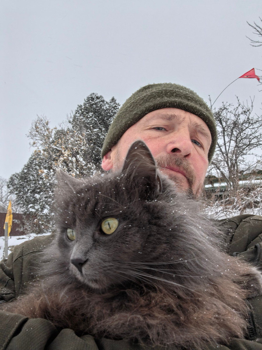 И уносит меня в звенящую снежную даль...