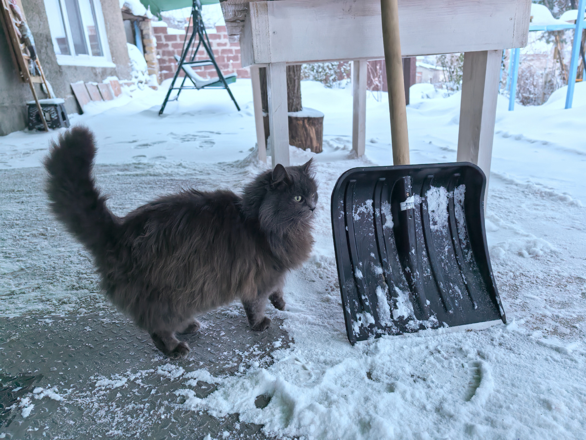 Ну, можно было бы и получше